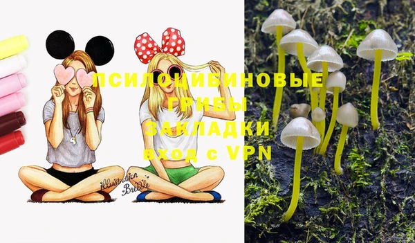 марки nbome Алексин