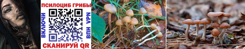 Псилоцибиновые грибы Magic Shrooms  где купить наркоту  Елабуга 