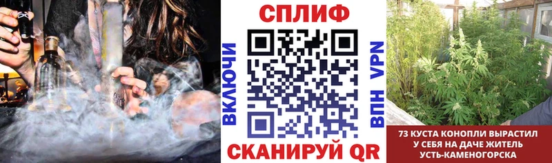 купить  цена  Елабуга  KRAKEN   Конопля план 